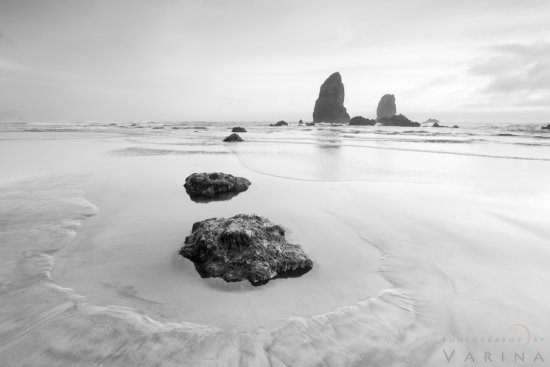 Black and white nature photography in Cannon Beach, Oregon by Varina Patel