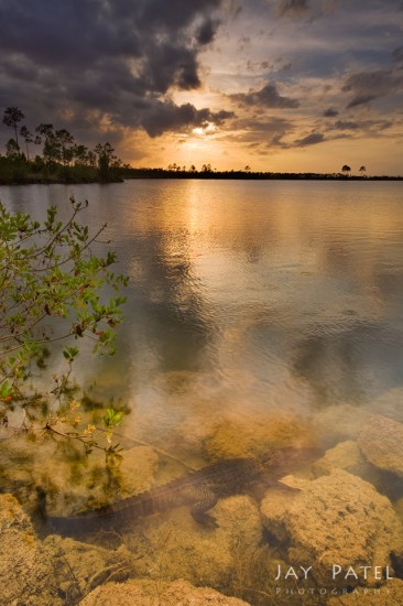 Example of Jay's Photography Style: Everglades National Park, Florida