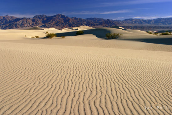 Mesquite Dunes, Death Valley National Park, California (CA), USA