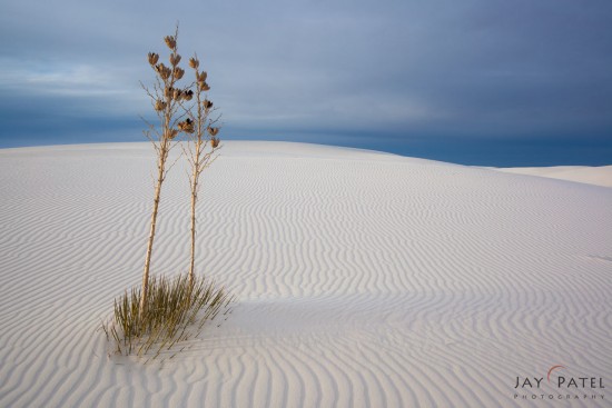 White Sands National Park, New Mexico (NM), USA