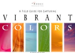 Vibrant Colors eBook Cover
