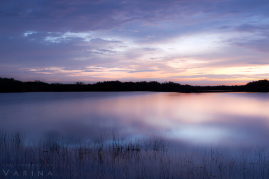 Photo manipulation using an ND Filter and long exposure at Nine Mile Pond, Florida by Varina Patel