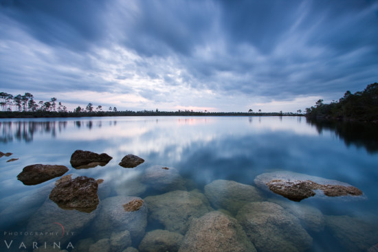 Monochromatic nature photo at Blue Hour at Pine Glades Lake, Everglades National Park, Florida by Varina Patel