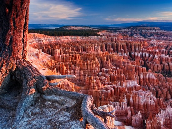 4:3 Photography composition for fine art prints from Bryce Canyon National Park, Utah by Jay Patel