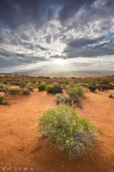 Landscape photography from Horseshoe Bend, Arizona by Jay Patel