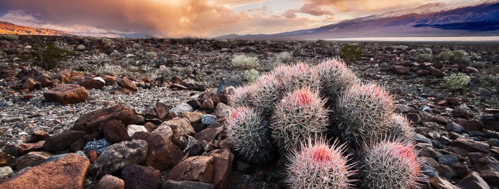 Landscape photography from Death Valley, California by Varina Patel