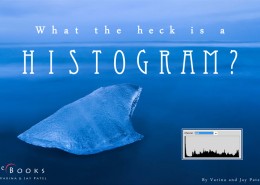 Histograms eBook Cover