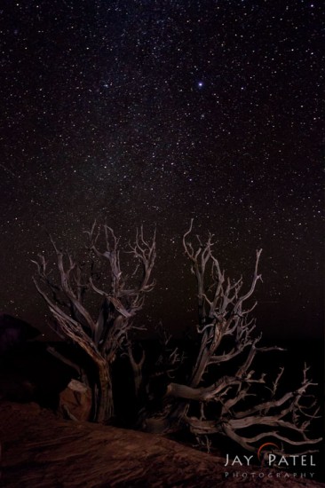 Dark nature photography subject in Canyon Lands National Park, Utah by Jay Patel