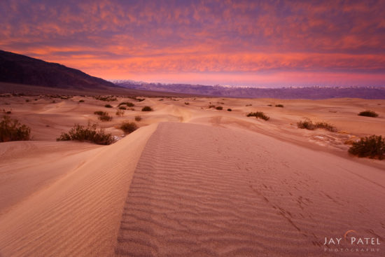 Mesquite Dunes, Death Valley, California (CA), USA
