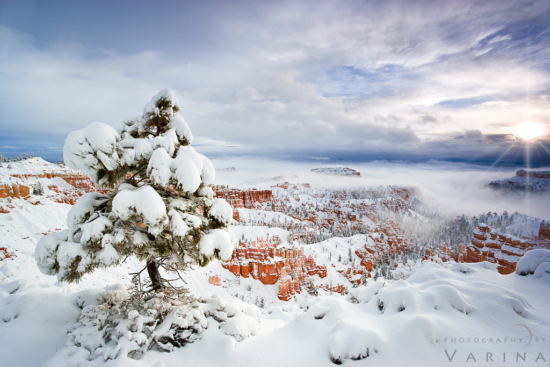 Winter Landscape Photography of Bryce Canyon Utah by Varina Patel