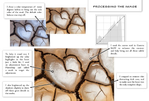 Workflow Series Macro Photography eBook Sample Page