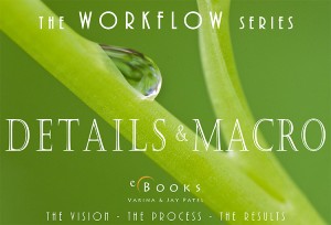 Workflow Series Macro Photography eBook Cover