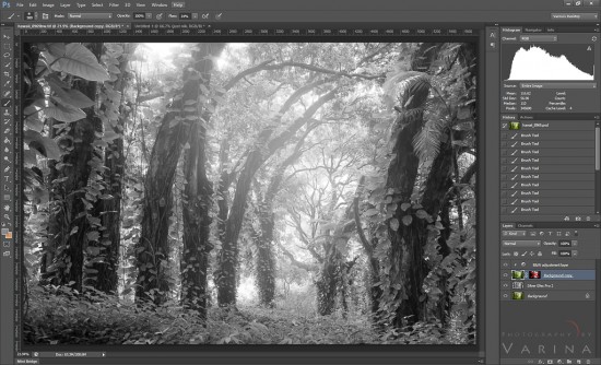 Low contrast Black and White conversion for the mist in Photoshop Layers
