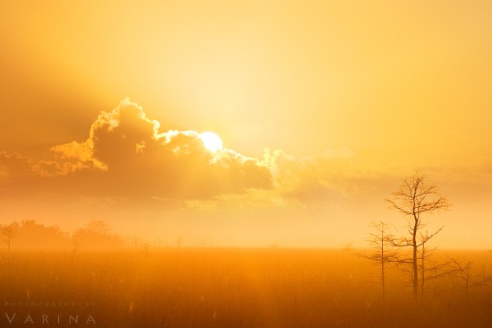 Using telephoto lens to simplify your landscape photo, Everglades National Park, Florida