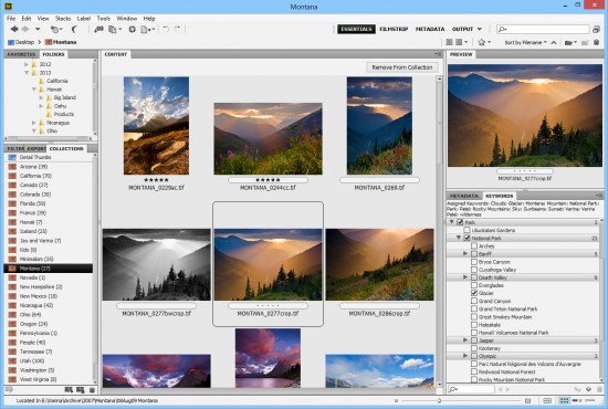 Keywording Your Photos &amp; Smart Collections in Adobe Bridge