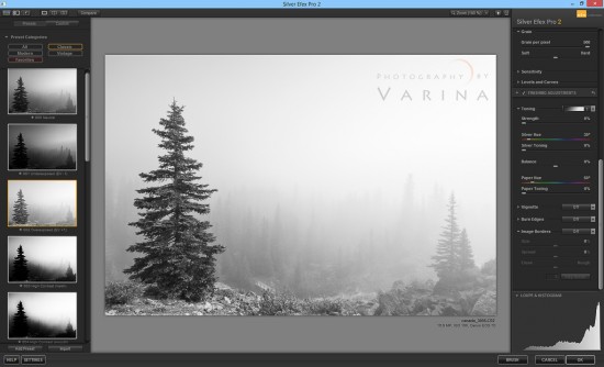 Silver Efex Black and White Photography Conversion Screen Shot by Varina Patel