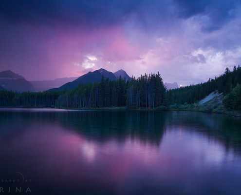 Cover for Landscape Photography Styles blog post by Varina Patel