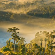 Landscape Photo from Catlins, New Zealand by Jay Patel