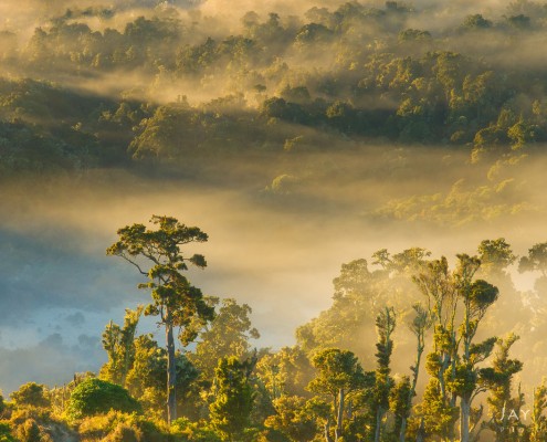 Landscape Photo from Catlins, New Zealand by Jay Patel
