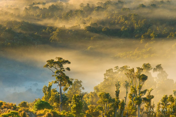 Landscape Photo from Catlins, New Zealand by Jay Patel