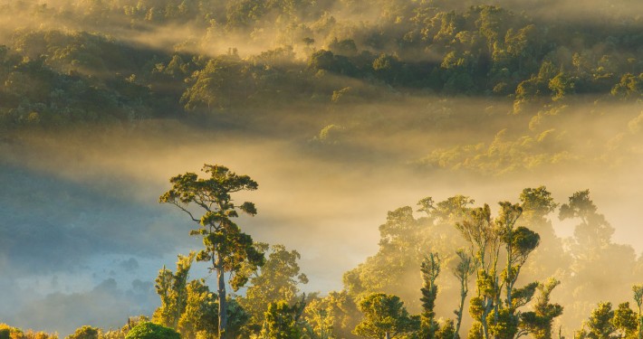 Landscape Photo from Catlins, New Zealand by Jay Patel