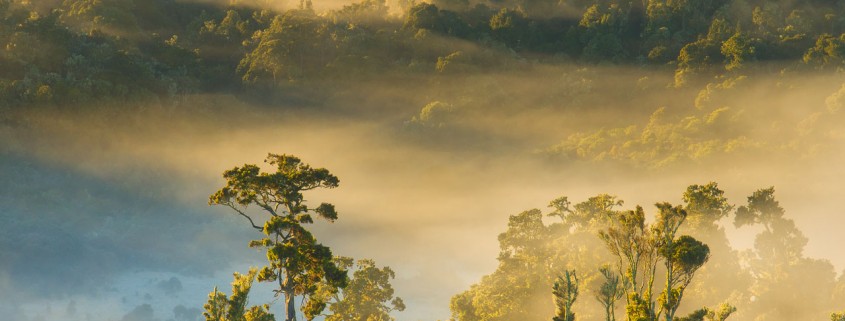 Landscape Photo from Catlins, New Zealand by Jay Patel