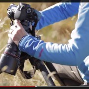 Getting Started With Macro Photography Getting Started With Macro Photography