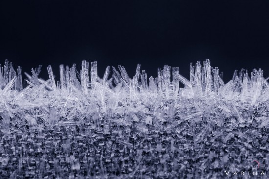 Macro photography of ice by Varina Patel