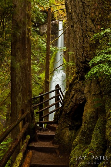 Landscape Photo from 2010 of Marymere Falls, Olympic National Park