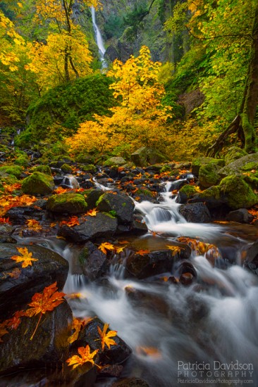 Autumn waterfall photography example from Starvation Creek, Oregon