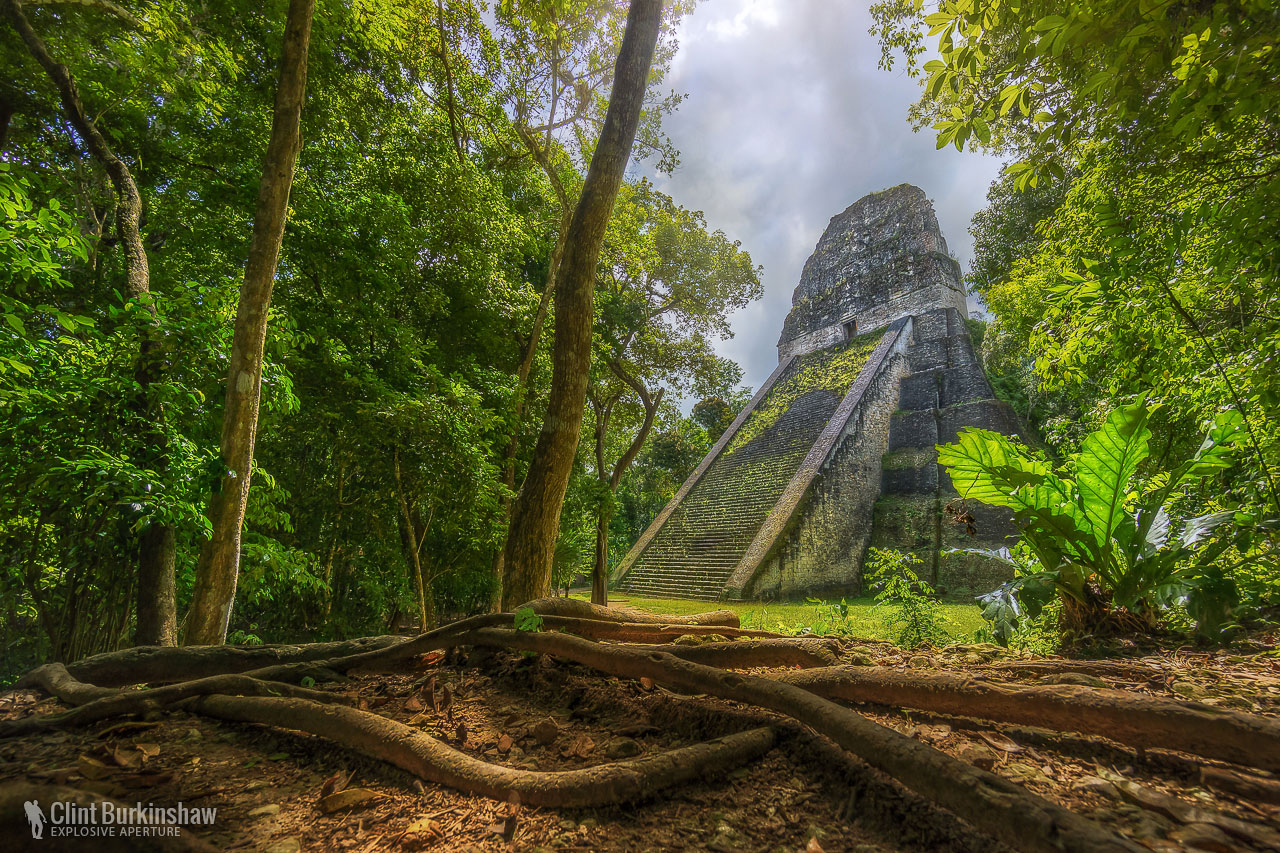 Hidden Pyramids at Tikal - Travel Photography by Clint Burkinshaw