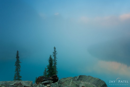 Nature Photos - Example of low contrast details in the fog