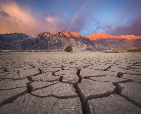 Jigsaw Earth by Erin Babnik