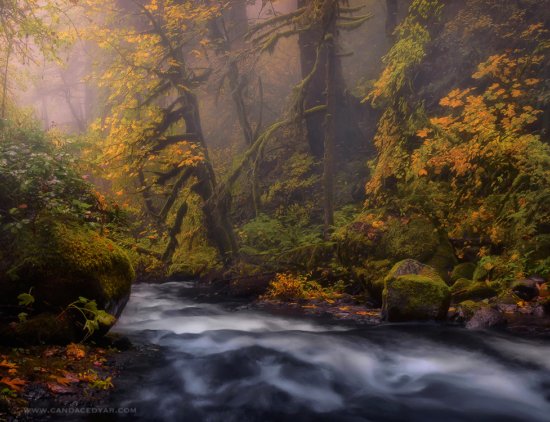 Blog cover for Landscape photography tips for Beginners by Candace Dyar