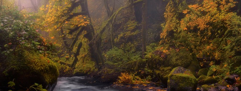Blog cover for Landscape photography tips for Beginners by Candace Dyar