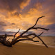 Cover for Landscape Photography blog about post processing by Jay Patel