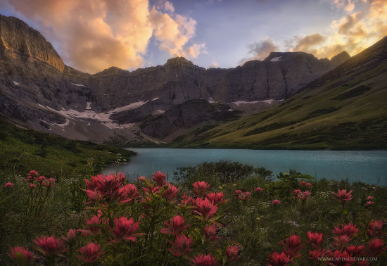 Private Paradise by Candace Dyar