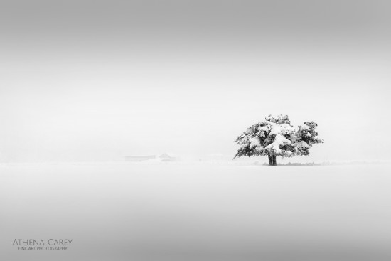 Black and White Landscape Photography by Athena Carey