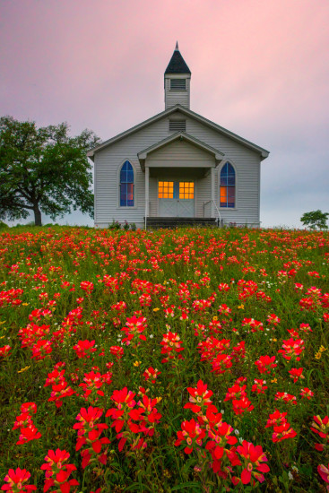 Wildflower photo with LB ColorCombo photography filter East Of San Antonio, Texas by Kevnin McNeal