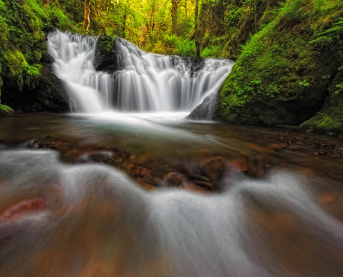 How to photograph during windy conditions