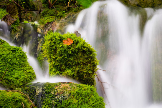 Example of landscape photography using aperture priority mode from Plitvice Lakes National Park, Croatia