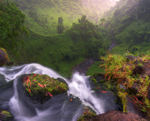 Samoa waterfall