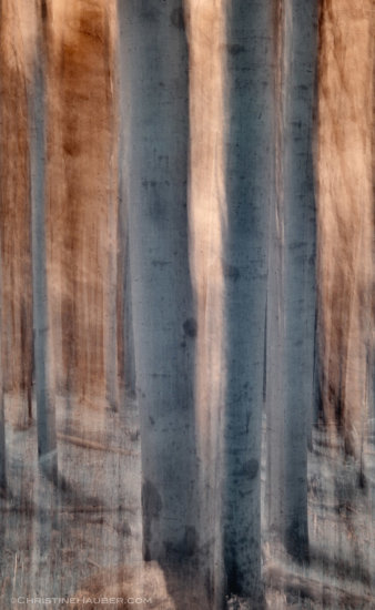 Again, I put the camera on a tripod with an ND filter and then moved the camera vertically during the exposure. The unique colors come from my infrared converted camera.