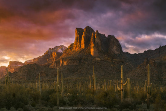 A sea of Saguaro cacti sit below peaks in the Superstition Mountains. 