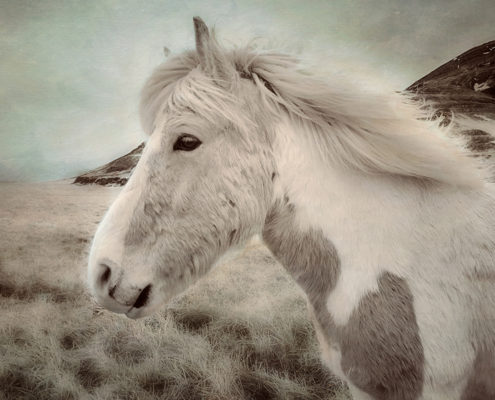 Cover for Texture Blending in Photoshop Blog post by Christine Hauber
