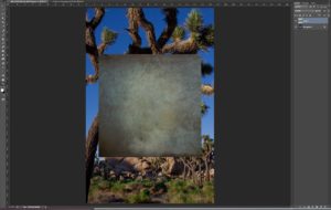 I have pasted my texture onto my base Joshua Tree image. It will now need to be transformed to fill the size of the base image.
