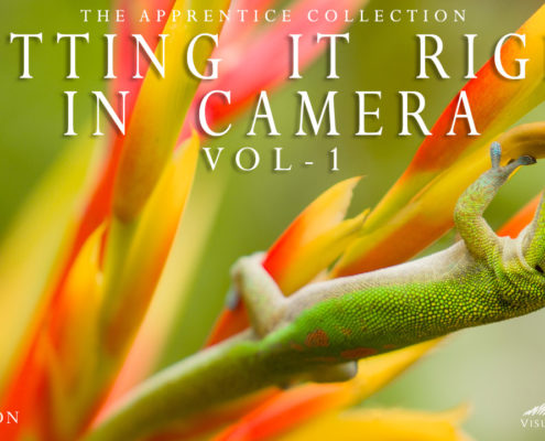 Landscape Photography Tutorial - Getting it Right in Camera V1 Cover